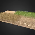 Natural Garden Landscape With Lush Green Grass Brown Wheat Field And Central Dirt Path