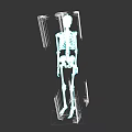 Golden Full Body Human Skeletal System Model Isolated On Black Background