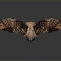 Realistic Owl With Spread Wings Standing On Dark Background And Detailed Feathers