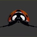 Red Ladybug With Black Spots And Black Head Legs On Gray Background With Reflection 3d model