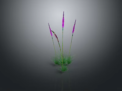 Water Grass Various Water Grass Animal Realistic Animal Realistic 3d model