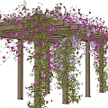 Decorative Garden Pergola with Climbing Purple Blue Flowers and Green Leaves