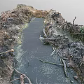 Natural Garden Landscape With Small Stream Muddy Ground And Mossy Tree Branches