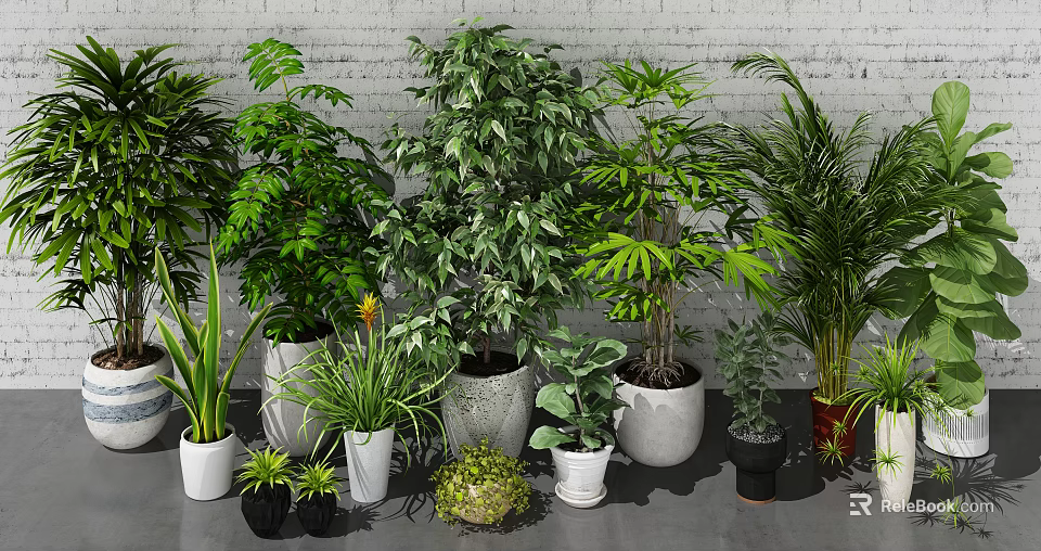 Indoor Potted Plants With Various Green Foliage And Decorative Pots Against Grey Brick Wall 3d model 