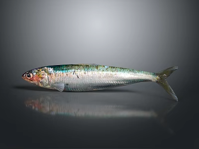 Modern Fish Themed Decorative Ornament For Home Living Space Decoration 3d model