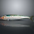 Modern Fish Themed Decorative Ornament For Home Living Space Decoration