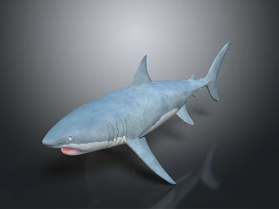 3D Model of Blue Shark with Open Mouth Sharp Teeth on Gray Background Reflection 3d model