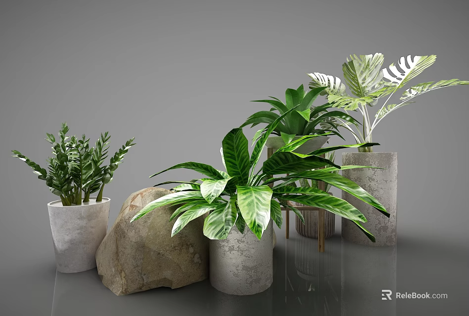Decorative Bonsai Potted Plants Various Types in Concrete Pots with Stone on Gray Background 3d model 