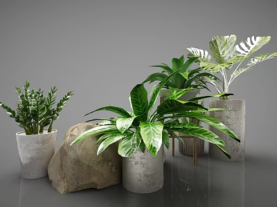 Decorative Bonsai Potted Plants Various Types in Concrete Pots with Stone on Gray Background 3d model