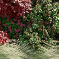Green Wall Decorated With Red Shrubs Green Plants Stones And Wood Logs