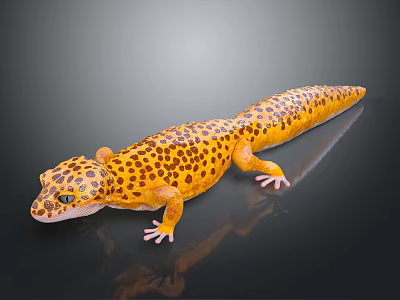 Yellow and Brown Spotted Gecko Lying on Smooth Black Surface with Reflection 3d model