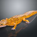 Yellow and Brown Spotted Gecko Lying on Smooth Black Surface with Reflection 3d model