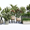 Potted Bonsai Plants With Various Leafy Green Varieties And Stylish Containers