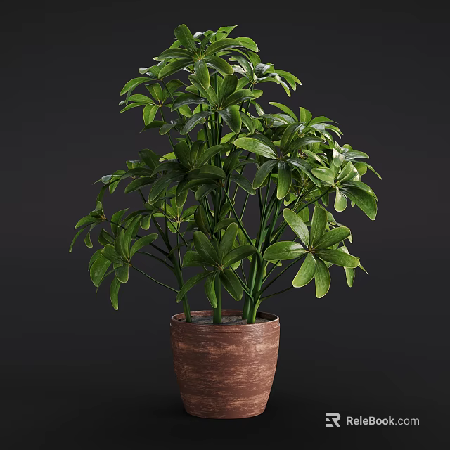 Potted Bonsai Plant with Lush Green Foliage in Brown Clay Pot for Indoor Decoration 3d model 
