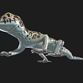 gecko lizard palace animal pet cold-blooded animal reptile 3d model