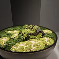 Lush Green Moss Decorative Display In Ceramic Bowl And Textured Container