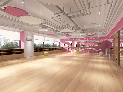 Spacious Pink Fitness Studio With Wooden Floor And Exercise Equipment 3d model