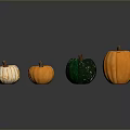 Four Colorful Pumpkins White Striped Orange And Green Arranged On Gray Background With Clear Reflections
