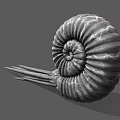 Aquatic Animal Ammonite With Spiral Shell And Long Tentacles 3D Model Structure 3d model