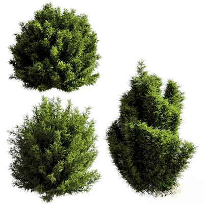Green Shrubs With Different Shapes And Lush Green Foliage For Garden Decoration 3d model Green Shrubs With Different Shapes And Lush Green Foliage For Garden Decoration 3d model