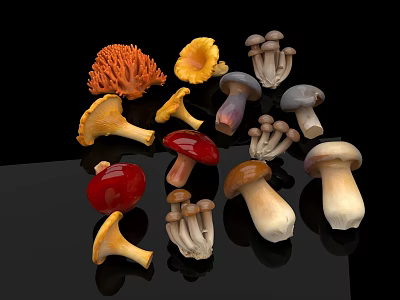 Colorful Fresh Edible Mushrooms With Various Shapes And Natural Hues On Black Surface 3d model