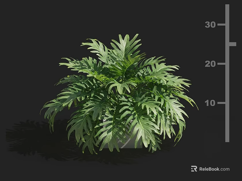 Lush Green Plant With Fern Like Leaves In Pot On Dark Background With Height Scale 3d model 