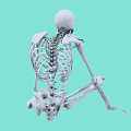 Modern Skeleton 3d model