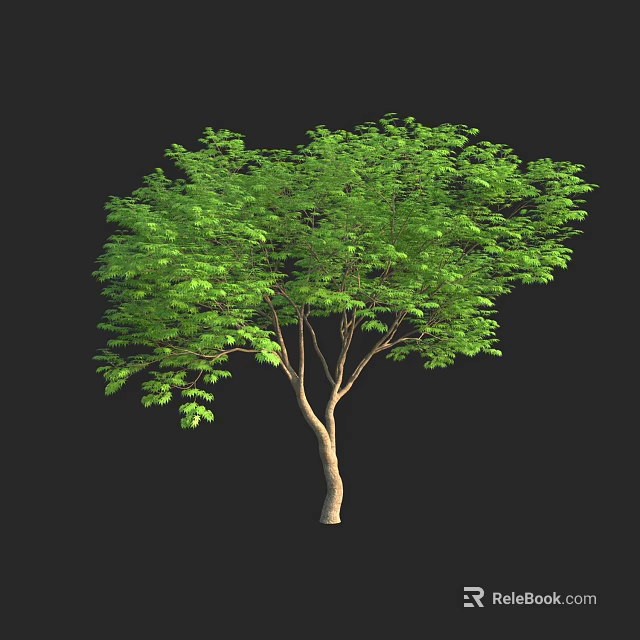 Lush Green Leafy Arbor With Brown Trunk Isolated On Black Background 3d model 