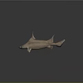 Light Brown Shark with Green Eyes in 3D Model on Dark Background