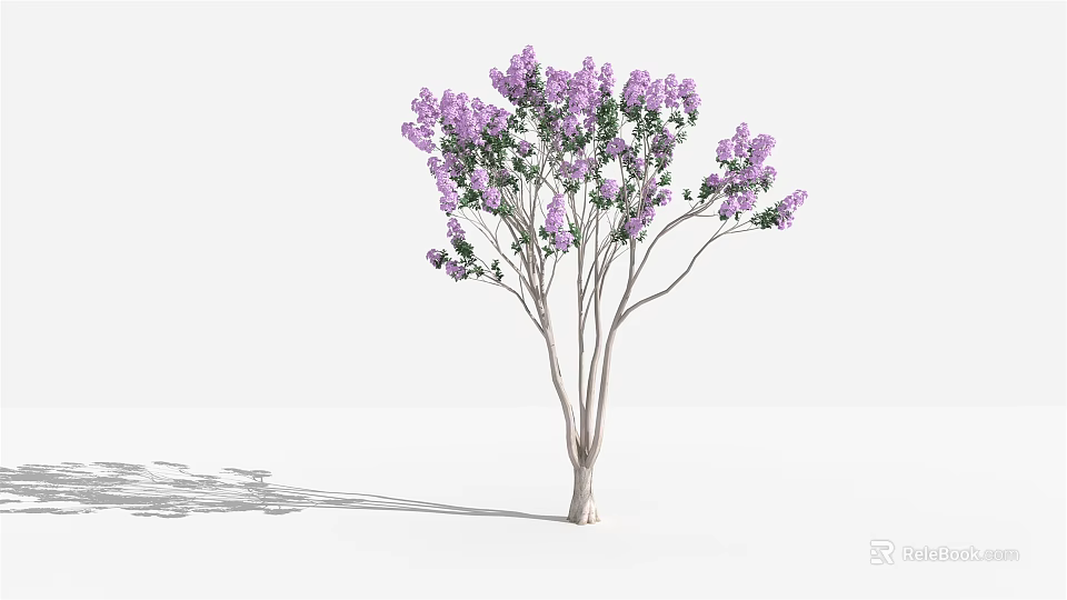 Elegant Tree With Purple Flowers Green Leaves And Light Colored Trunk 3d model 