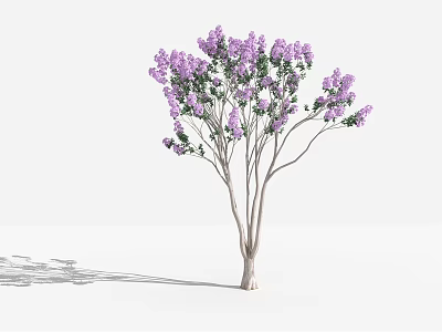 Elegant Tree With Purple Flowers Green Leaves And Light Colored Trunk 3d model