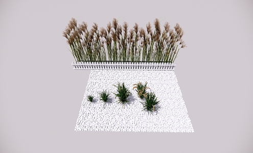 Modern Plant Crops 3d model