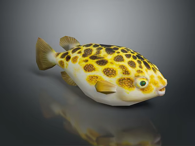 Yellow and Black Spotted Pufferfish with Green Eyes White Belly Showing Reflection on Dark Background 3d model
