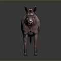 Realistic Pink Donkey With Smooth Fur Standing On Gray Background 3d model
