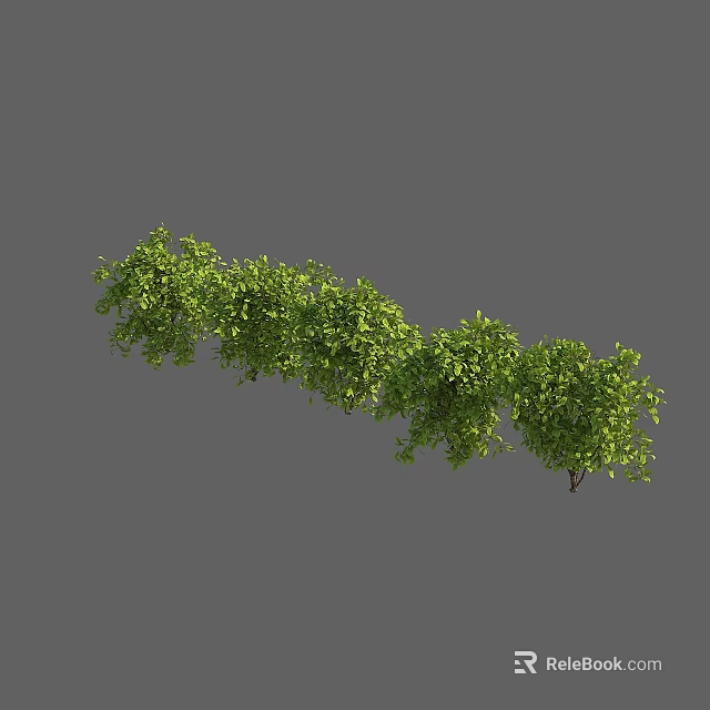 Lush Green Shrub With Dense Branches And Vibrant Foliage For Garden Landscaping 3d model 