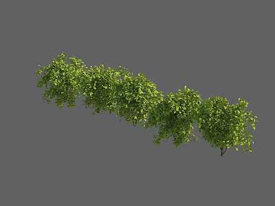 Lush Green Shrub With Dense Branches And Vibrant Foliage For Garden Landscaping 3d model