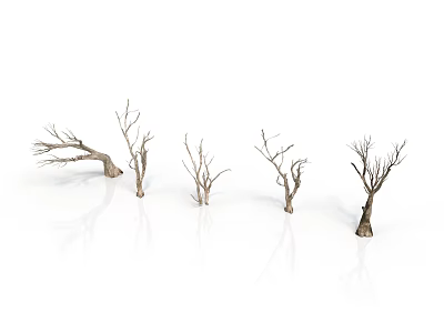 Set Of Dry Leafless Trees With Twisted Branches On White Background 3d model