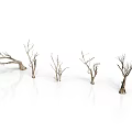 Set Of Dry Leafless Trees With Twisted Branches On White Background