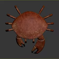 Realistic Red Crab 3D Model With Large Claws Detailed Legs And Shiny Shell 3d model