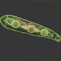 Black Hair Accessory Adorned With Colorful Floral Decorations And Intricate Details