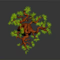 Baobab Tree With Thick Brown Trunk And Green Leafy Branches On Gray Background