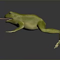 Realistic Green Reptile With Extended Tongue On Dark Reflective Background