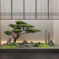 Japanese Zen Interior Landscape With Bonsai Pine Tree Stones And Bamboo Screen