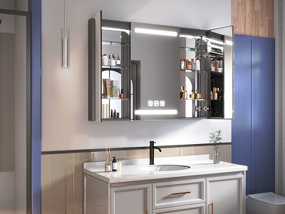 Bathroom mirror cabinet model