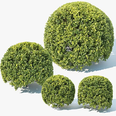Round Green Bushes With Lush Foliage In Various Sizes For Garden Landscaping 3d model