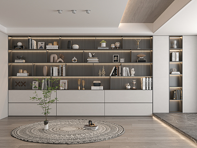 Modern bookcase 3d model