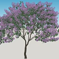 Beautiful Arbor With Purple Flowers Against Blue Sky And Green Grass