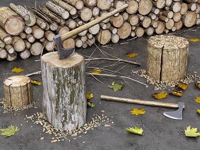 Wood Logs Stacked Around Tree Stumps With Axe Wood Chips And Fallen Leaves 3d model
