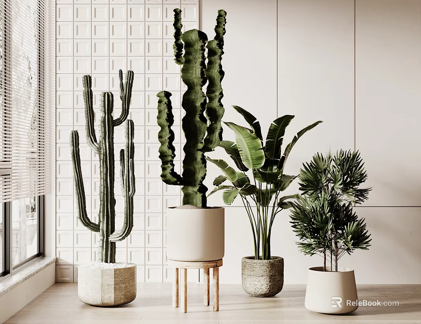 Indoor Bonsai Potted Plants With Cactus Palm And Various Stylish Decor Pots 3d model 
