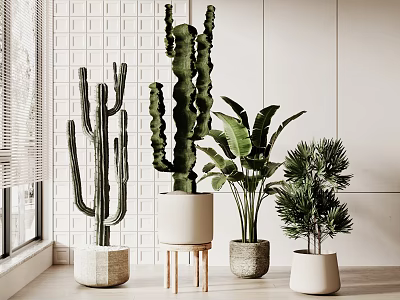 Indoor Bonsai Potted Plants With Cactus Palm And Various Stylish Decor Pots 3d model